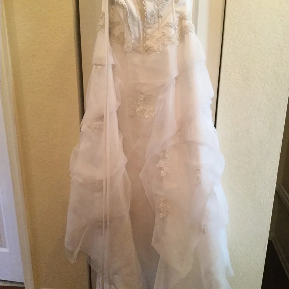 Wedding Dress - Picture 5 of 7